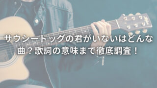 サウシードッグの君がいないはどんな曲？歌詞の意味まで徹底調査！