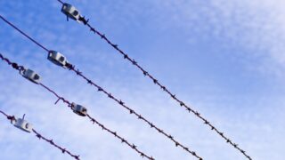 ガンダムサンダーボルトが酷いと言われてる理由は?グロいややりすぎが原因?