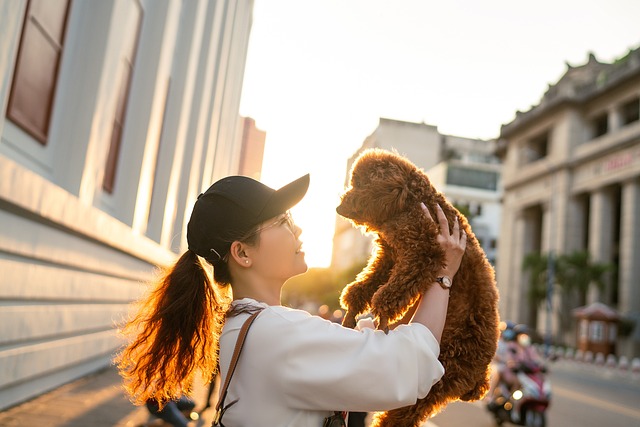 INTP(論理学者)とINFJ(提唱者)の相性まとめ！違いや似てるところは？